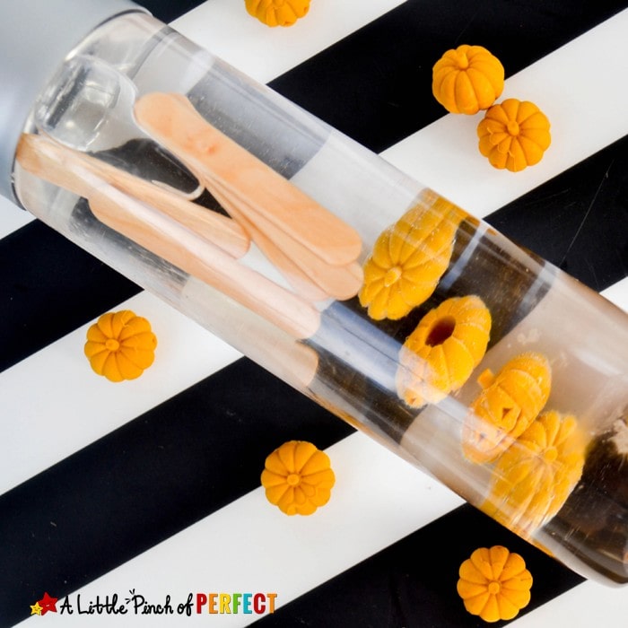 5 Little Pumpkins Float and Sink Halloween Sensory Bottle (preschool, kindergarten, October, fall, song/book)