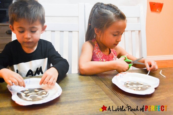 Learning about what's Inside a Pumpkin Paper Plate Kids Craft: Kids can craft and learn during this easy activity (fall, Halloween, preschool, kindergarten)