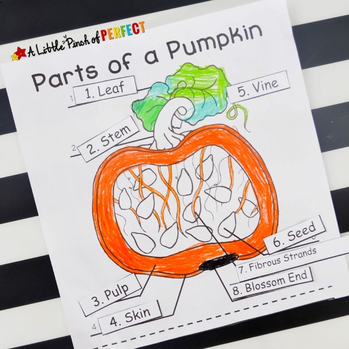 Learning about Pumpkins: Explore, Color, and Label Free Printable