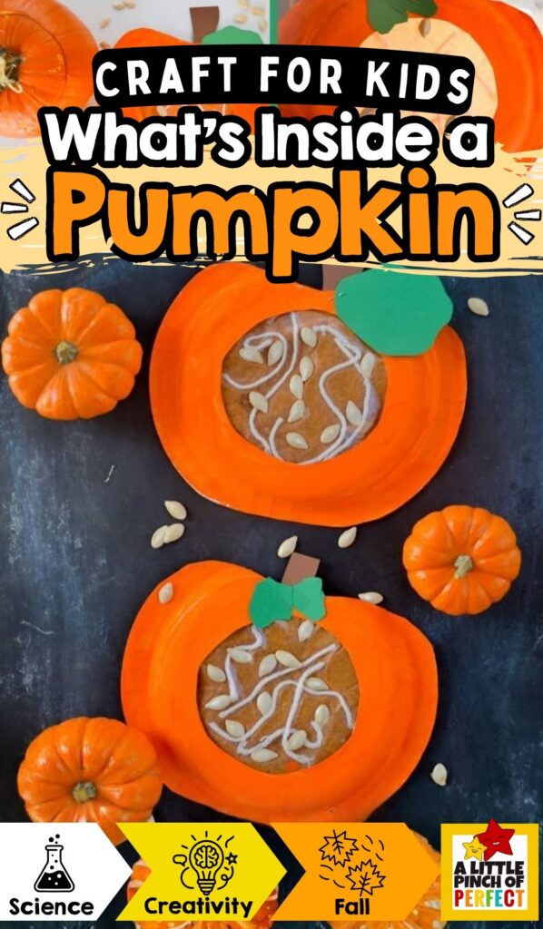 Learning about What's Inside a Pumpkin Paper Plate Kids Craft is a perfect activity to add to your fall or Halloween activities where kids can learn the parts of a pumpkin #science #homeschool #craft-(fall, Halloween, preschool, kindergarten)  A Little Pinch of Perfect 
