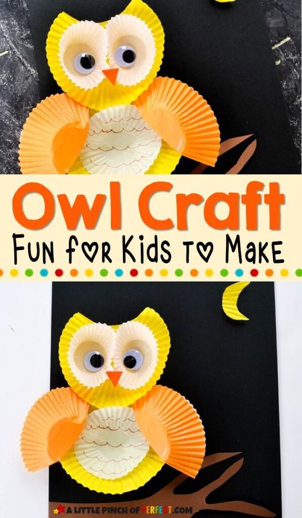 Owl Craft for Kids to Make with Easy Directions