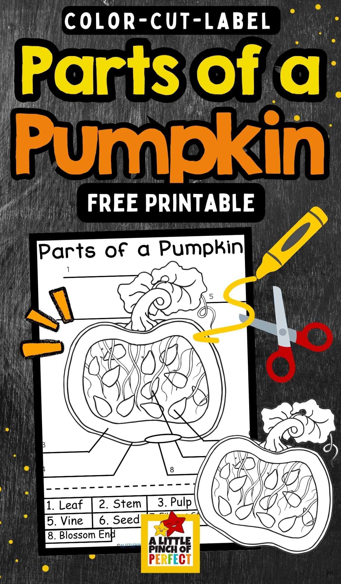 Explore the parts of a pumpkin with this free printable diagram. Kids can dissect, label, and learn with hands-on fall science fun.