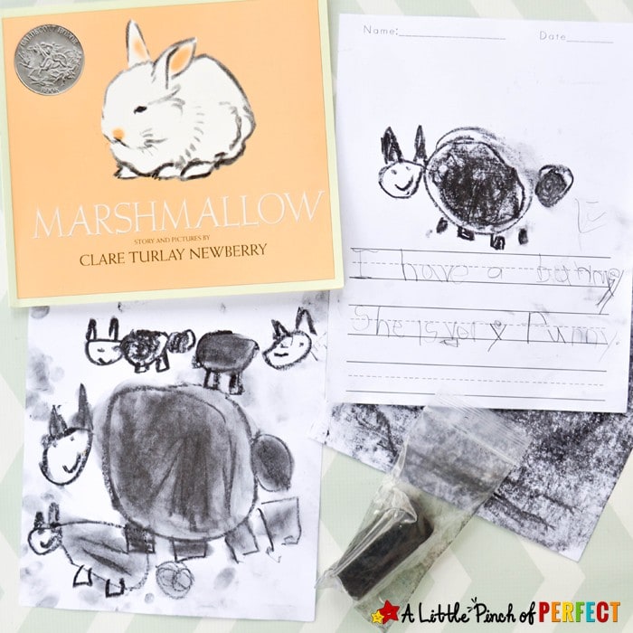 Easter Bunny Art for Kids Inspired by the Book Marshmallow: A fun art activity for kids and ideas for a poetry and writing activity. (Friendship, Preschool, Kindergarten, Spring, April) 
