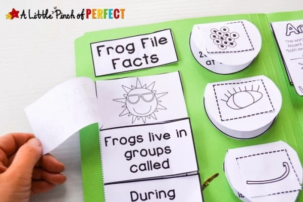 Learn about frogs and their life cycle with this activity pack that includes interactive notebook pages, a frog craft, science experiment, and more. This pack has perfect ideas for you to incorporate into your lesson about frogs.