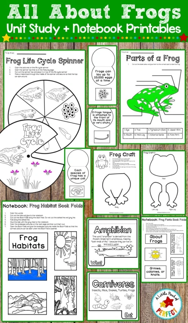 Learn about frogs and their life cycle with this activity pack that includes interactive notebook pages, a frog craft, science experiment, and more. This pack has perfect ideas for you to incorporate into your lesson about frogs.