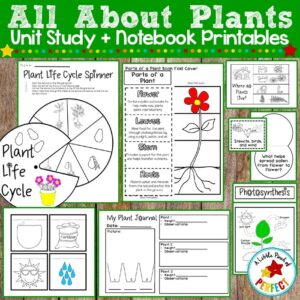All About Plants Unit Study & Lapbook Printables