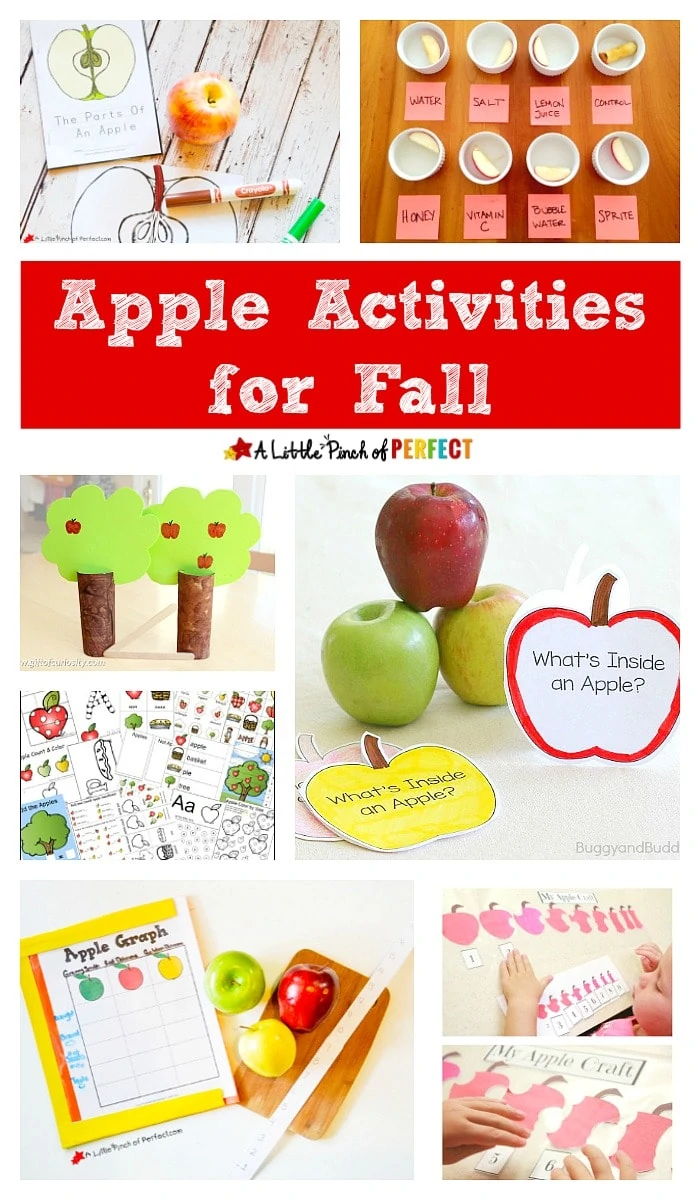 Fall Apple Activities: Math, Language, Science, Printables, Crafts and More! (Preschool, Kindergarten)