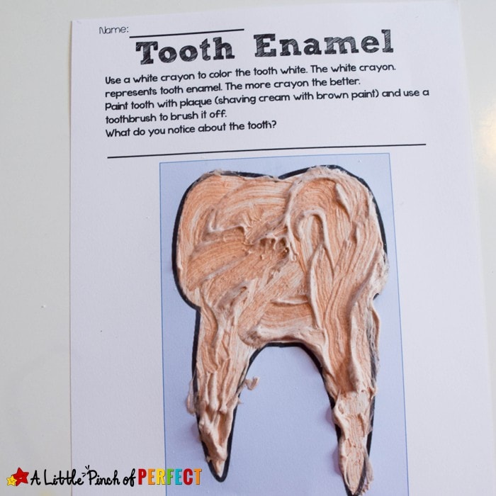 Learning About Teeth Activities and Free Printables: Activities to help children learn about dental hygiene including free printables, crafts, hands on activities, and more. (#dentalhealth #handsonlearning #kidsactivities)