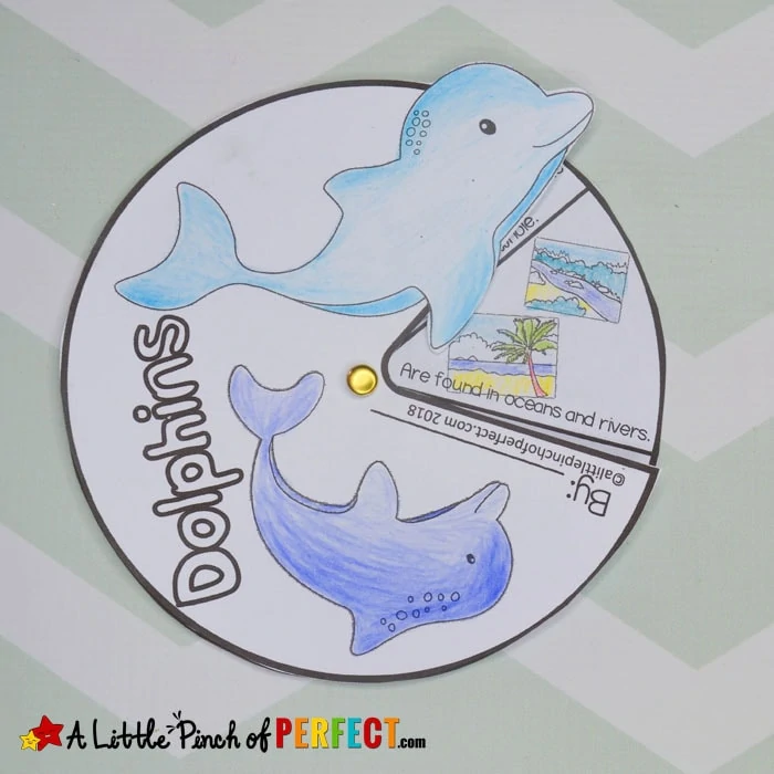 Learning About Dolphins: Activities for Kids and Free Printable