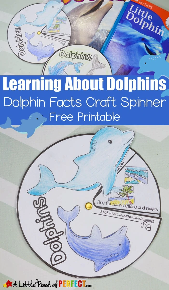 Learning About Dolphins: Activities for Kids and Free Printable Dolphin Facts Craft Spinner and More. (#kindergarten #firstgrade #secondgrade #homeschool #science #oceanunit)