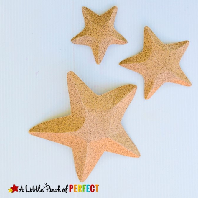 Kids can make a textured starfish craft that pops out to look like the real thing using our free craft template. (#summercraft #kidscraft #craft #starfish #printable)