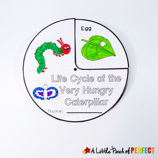 The Very Hungry Caterpillar Printable Activity Pack: This adorable pack of engaging activities will teach children letters, numbers, phonics, fine motor skills, shapes, life cycle of a butterfly, nutrition, days of the week, and more. It makes teaching and learning fun and easy. (#preschool #kindergarten #printables #kidsactivities #homeschool)