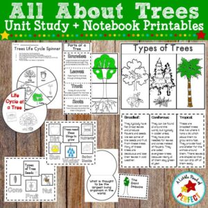 All About Trees: Activities, Craft, Tree Life Cycle, and Science Notebook