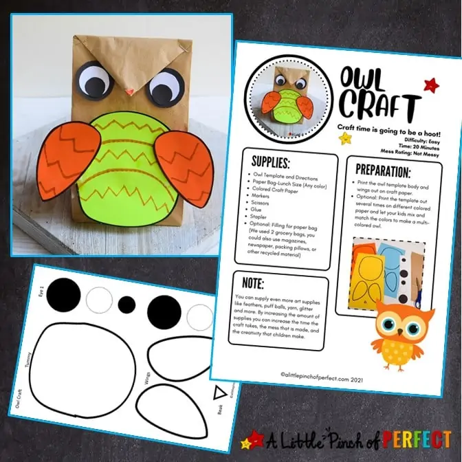 Owl Craft and directions Template