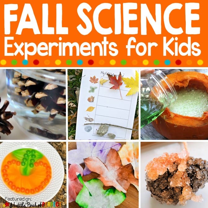 Fall Science Experiments for Kids
