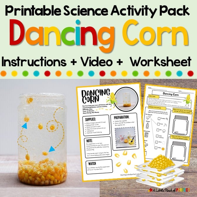 Dancing Corn Science Experiment