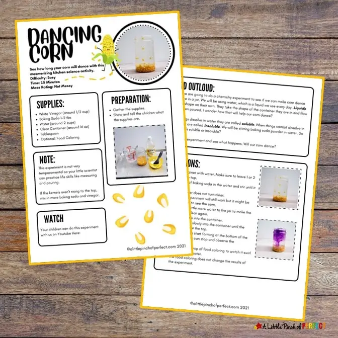 Dancing Corn Science Experiment Kids Activity Pack Directions