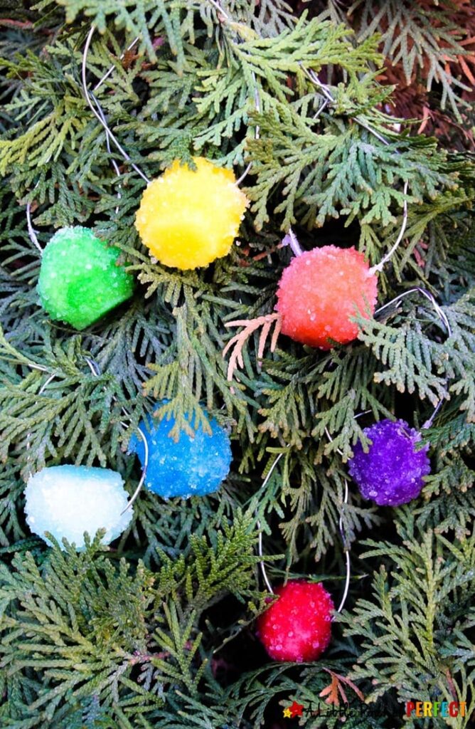Borax Crystal Ornament Balls Science Experiment for Kids Hanging on Tree