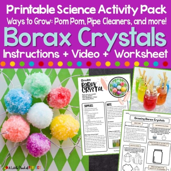 Crystal Borax Science Activity Pack Directions