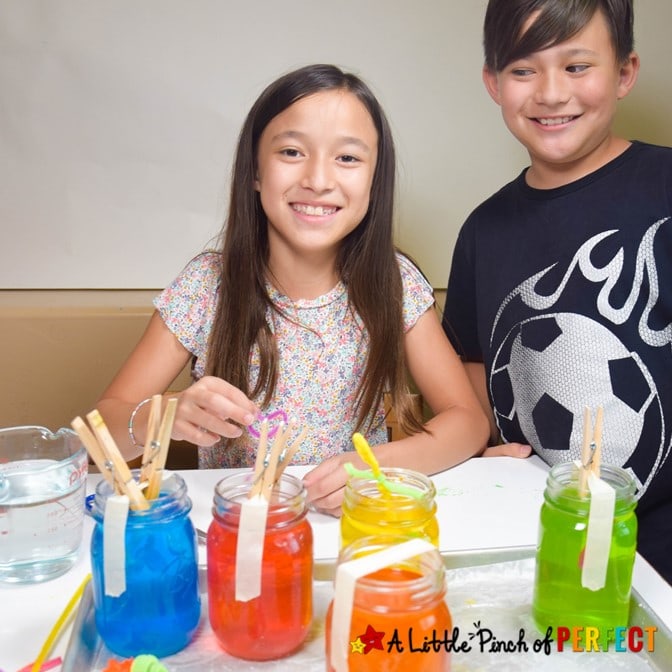 Kids Growing Borax Crystals Science Experiment
