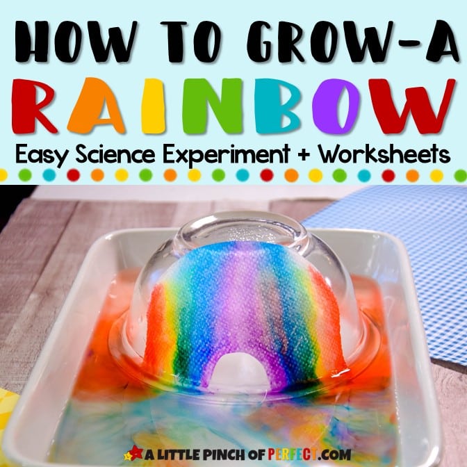 How to Grow a Rainbow Science Experiment for Kids