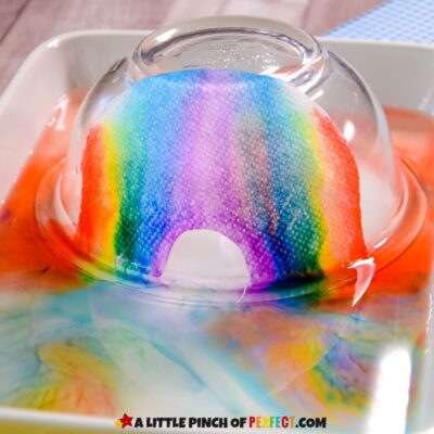 Grow a RAINBOW Paper Towel Experiment and SCIENCE Worksheets