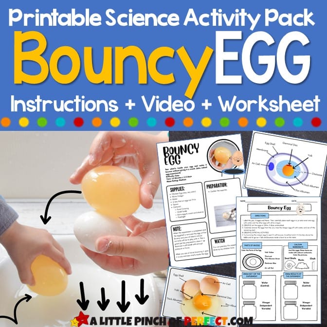 Bouncy Egg Kids Science Experiment and Learning Worksheets