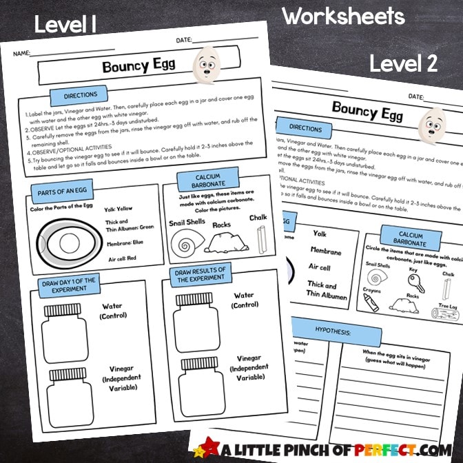 Bouncy Egg Science Experiment Worksheets