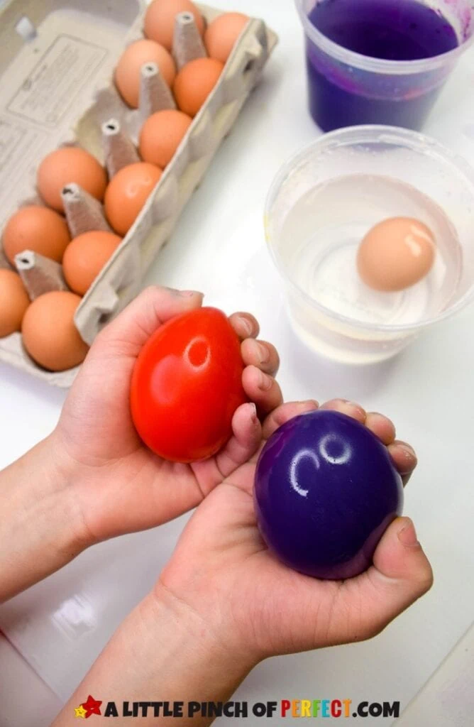 Bouncy Egg Kids Science Experiment with food coloring #kidsactivity #homeschool #scienceexperiment
