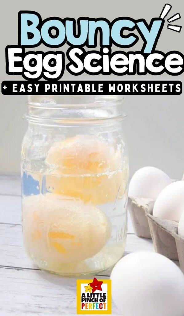 Bouncy Egg Science Experiment for Kids with Easy Printable Worksheets 