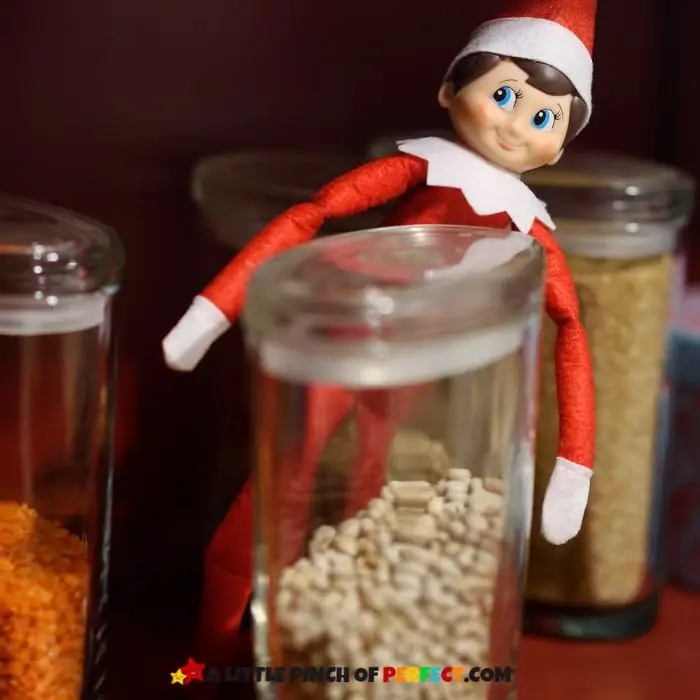 All You Need to Know for Elf on the Shelf + FREE Printables