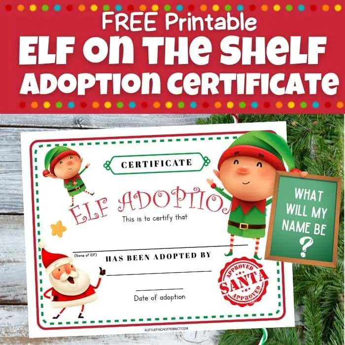 Elf on the Shelf ADOPTION CERTIFICATE: Free Printable for Christmas