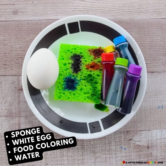 How to Make Sponge Painted Easter Eggs: Your going to love decorating colorful Easter eggs with this easy and fun method that’s perfect for kids and adults. #eastereggs #kidsactivity #craft