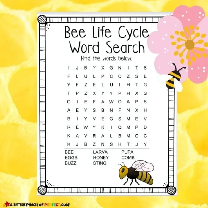 Bee Life Cycle Activity Pack including Word Search: FREE printable worksheets for home or school #preschool #kindergarten #kidsactivity