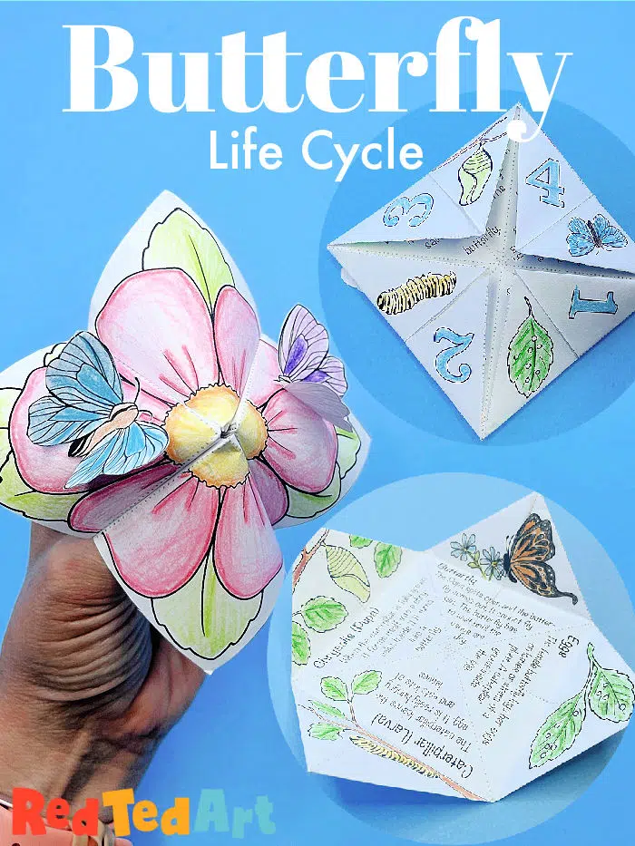 Butterfly Life Cycle Cootie Catcher Craft Template
