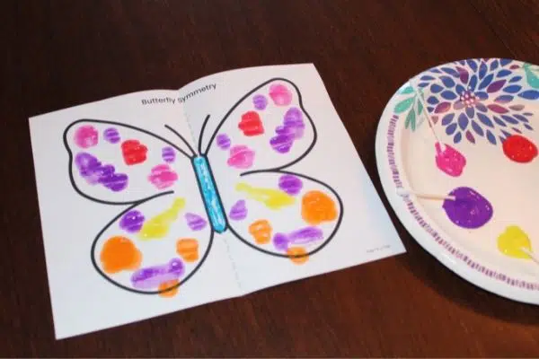 Butterfly Art: Symmetry Painting