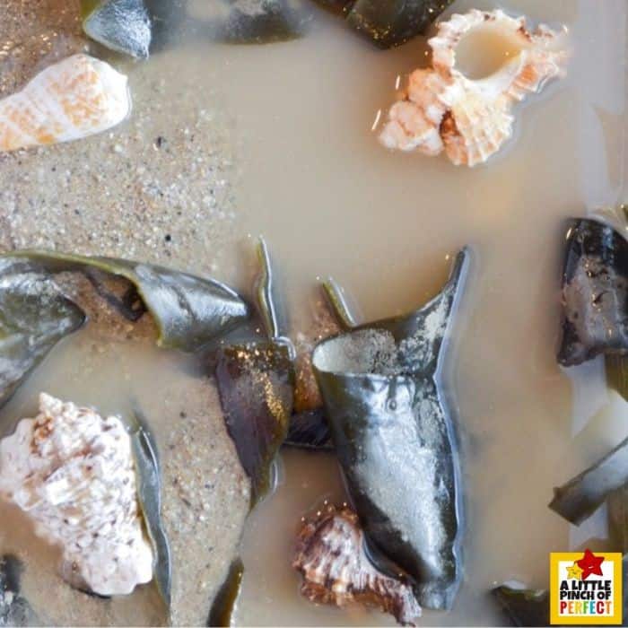 Ocean Sensory Bin & Matching Game for Kids