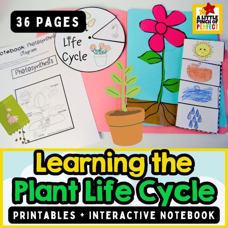 Plant Life Cycle & Photosynthesis Printables: Fun, Hands-On Science Activities for Kids