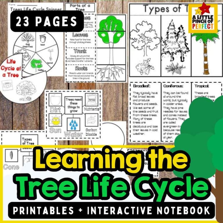 Tree Life Cycle Printables: Fun, Hands-On Science Activities for&nbsp;Kids