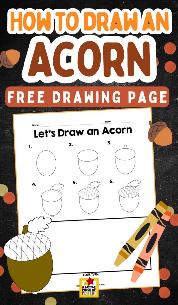 Teach kids how to draw an acorn with this free printable tutorial! A fun and easy fall and Thanksgiving activity for home or classroom&mdash;perfect for young artists learning to draw.
