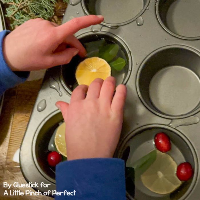 Frozen Bird Feeder Ornaments with natural materials arranged in muffin tins before freezing