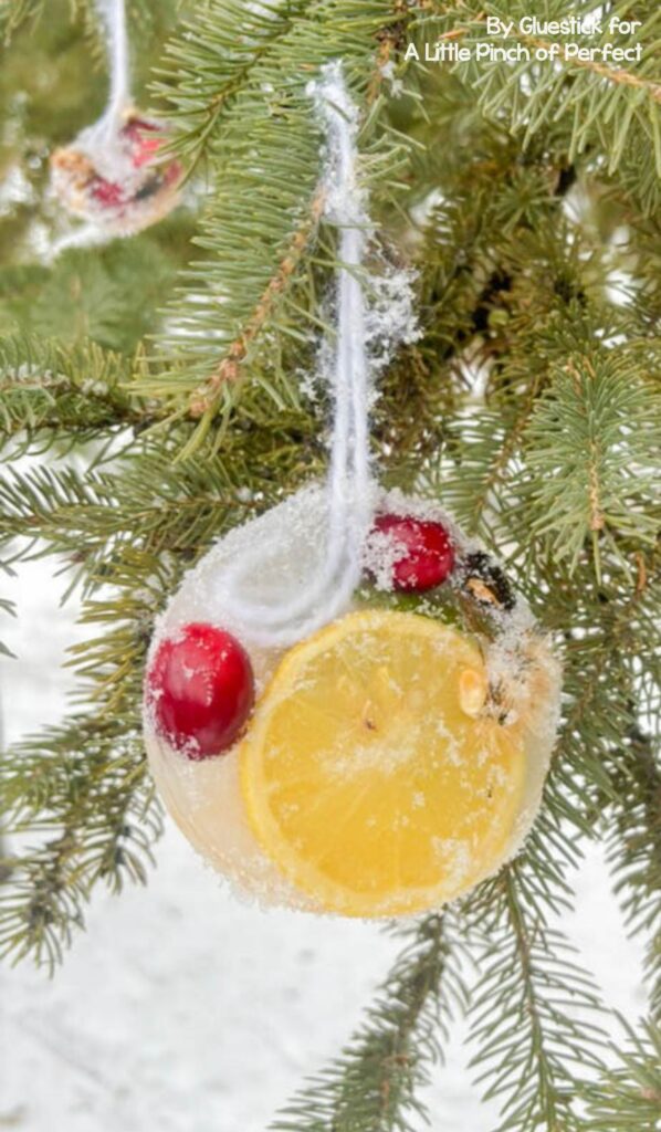 Frozen Bird Feeder Ornaments created with ice, seeds, and nature finds for an easy homemade winter bird feeder activity for kids