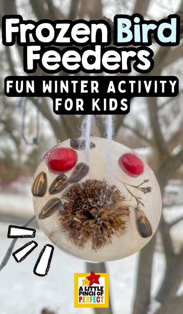 Frozen Bird Feeder Ornaments hanging from tree branches as a simple winter nature craft that feeds birds and encourages outdoor observation