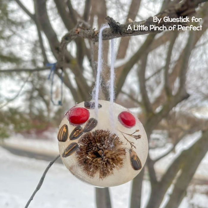Frozen Bird Feeder Ornaments sparkling in the sunlight with natural materials frozen inside, combining winter art and bird feeding