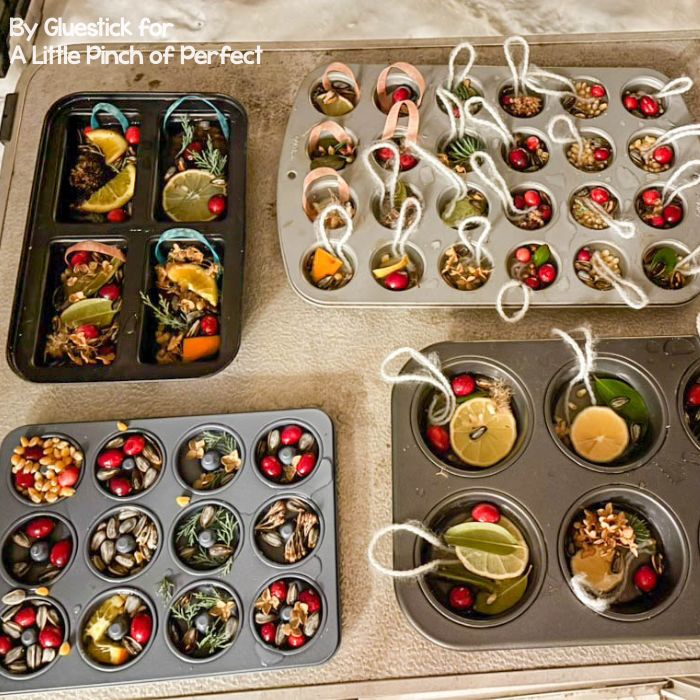 Frozen Bird Feeder Ornaments with natural materials arranged in muffin tins before freezing