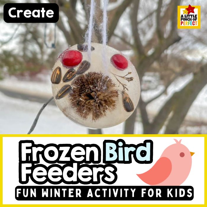 Frozen Bird Feeder Ornaments (A Beautiful Winter Nature Craft for Kids)