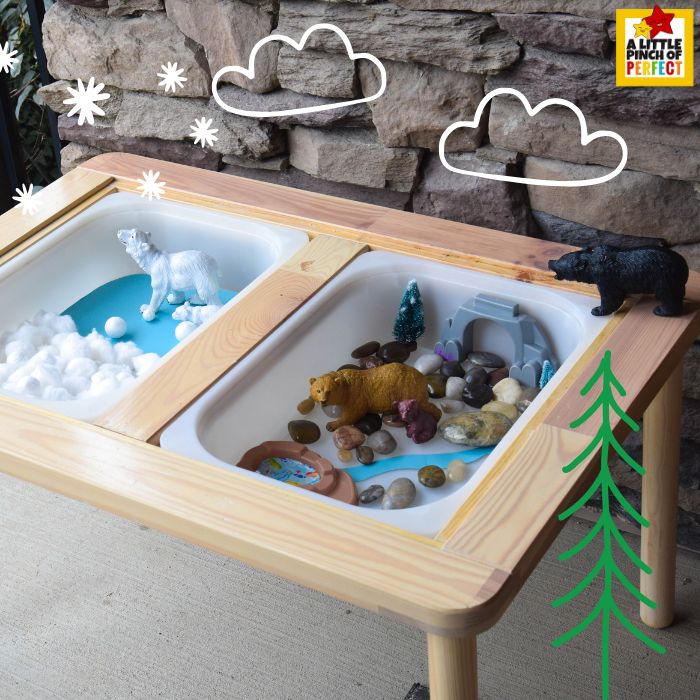 Polar Bear vs. Brown Bear Habitat Activity materials laid out for an easy winter sensory table comparing polar and brown bear habitats.