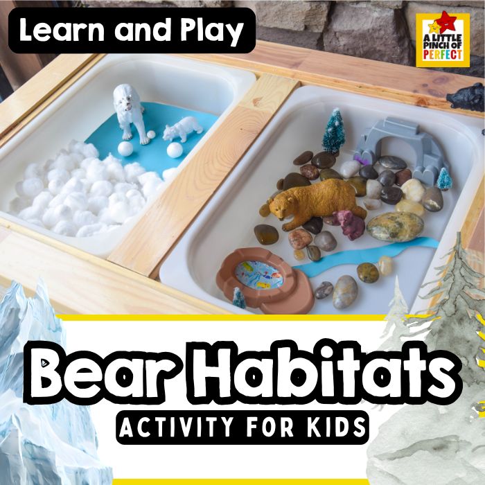 Polar Bear vs. Brown Bear: Exploring Habitats with a Hands-On Winter Sensory Table