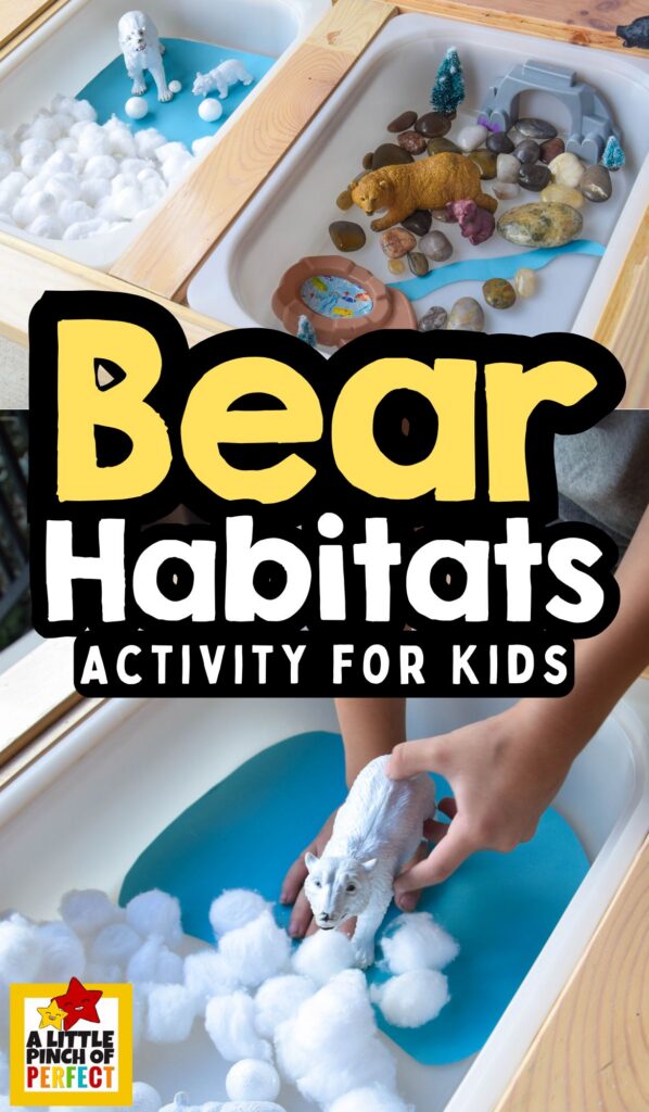 Polar Bear vs. Brown Bear Habitat Activity: Explore winter animal habitats with a hands-on sensory table! One side shows a polar bear in the Arctic, and the other a brown bear hibernating in a forest. Perfect for preschool and early learners to discover hibernation, habitats, and imaginative play. 