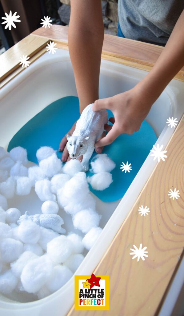 Polar Bear vs. Brown Bear Habitat Activity featuring a polar bear sensory table with snow, ice, and Arctic habitat elements for winter animal play.